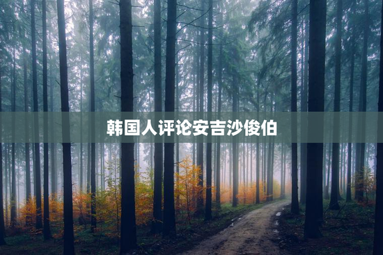 韩国人评论安吉沙俊伯