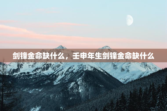 剑锋金命缺什么，壬申年生剑锋金命缺什么