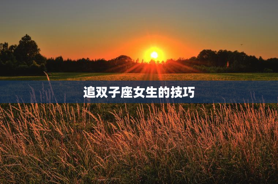 追双子座女生的技巧