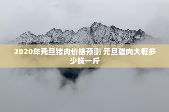2020年元旦猪肉价格预测 元旦猪肉大概多少钱一斤