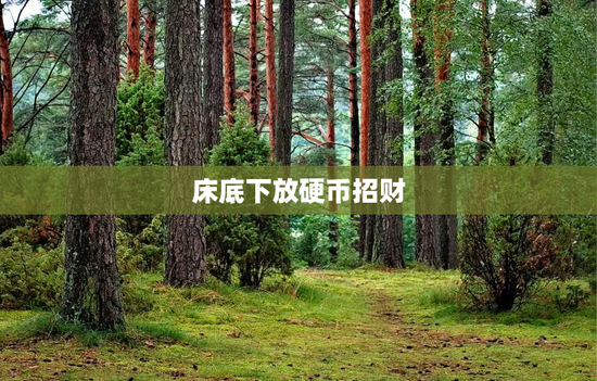 床底下放硬币招财