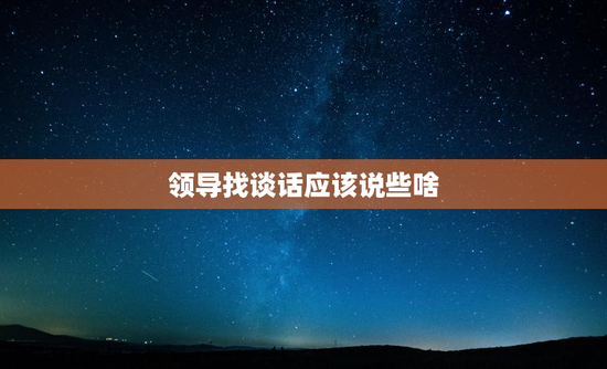 领导找谈话应该说些啥