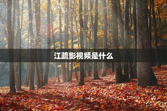 江疏影视频是什么