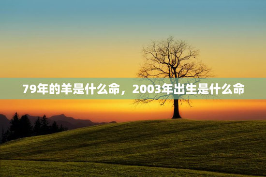 79年的羊是什么命，2003年出生是什么命