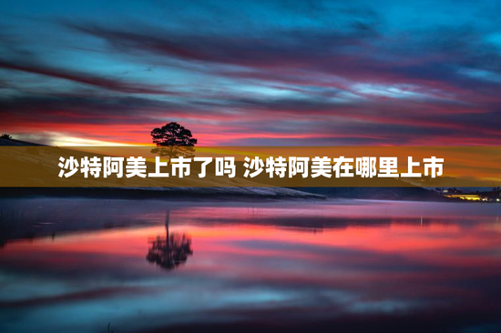 沙特阿美上市了吗 沙特阿美在哪里上市