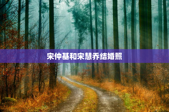 宋仲基和宋慧乔结婚照