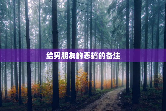 给男朋友的恶搞的备注