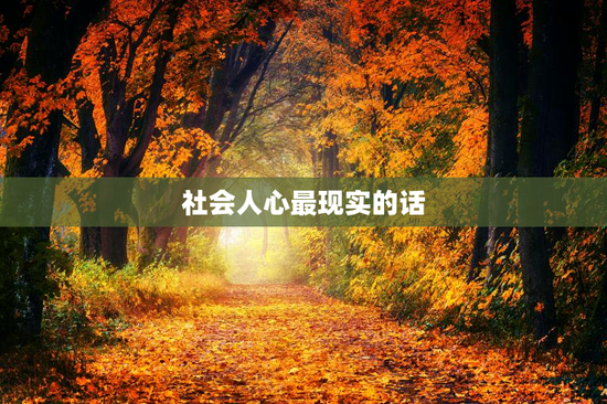 社会人心最现实的话
