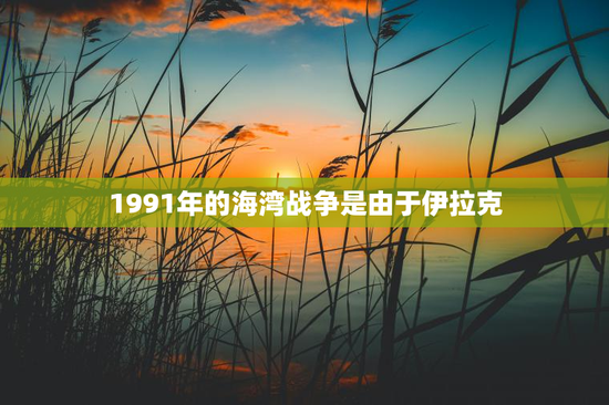 1991年的海湾战争是由于伊拉克