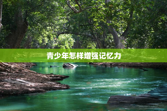 青少年怎样增强记忆力