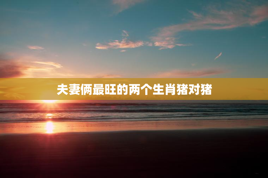 夫妻俩最旺的两个生肖猪对猪，两夫妻属猪好不好