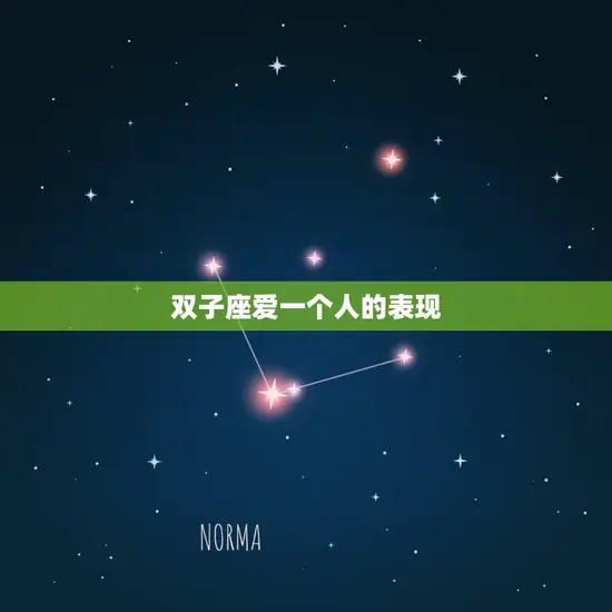 双子座爱一个人的表现