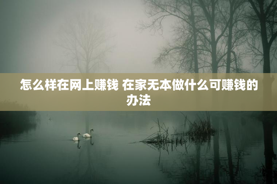 怎么样在网上赚钱 在家无本做什么可赚钱的办法