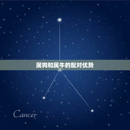 属狗和属牛的配对优势