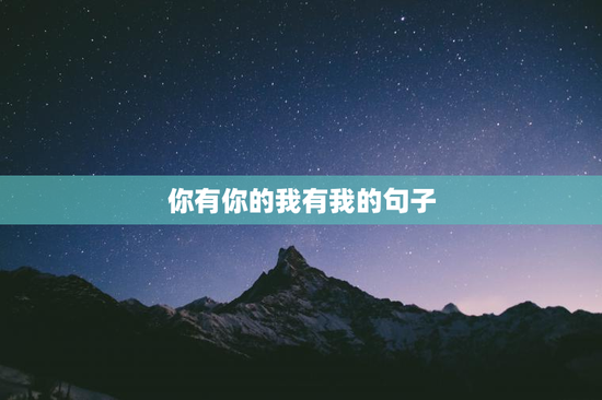 你有你的我有我的句子