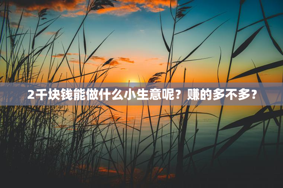2千块钱能做什么小生意呢？赚的多不多？