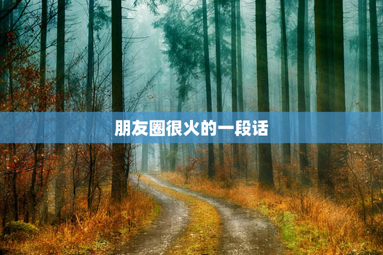 朋友圈很火的一段话