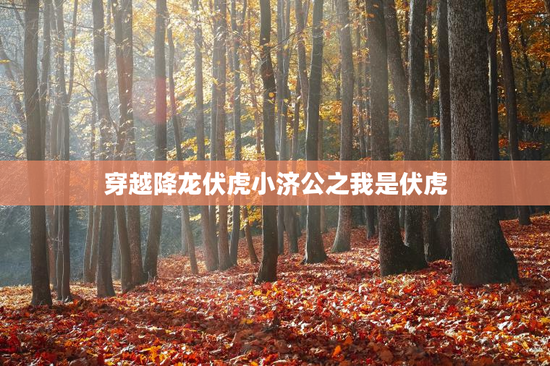 穿越降龙伏虎小济公之我是伏虎