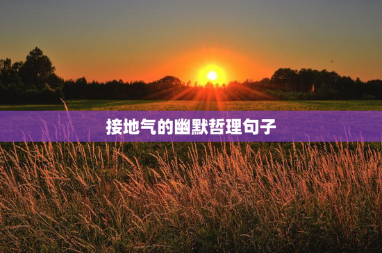 接地气的幽默哲理句子