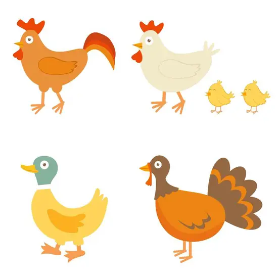 属鸡的戴什么玉吊坠好呢(玉石选择指南)