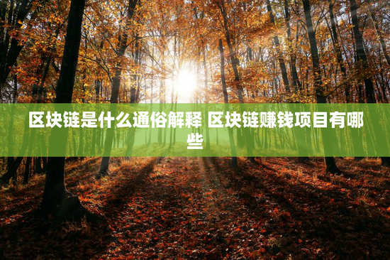 区块链是什么通俗解释 区块链赚钱项目有哪些