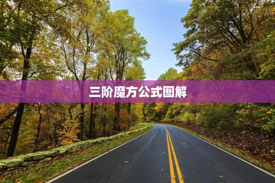 三阶魔方公式图解