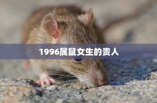 1996属鼠女生的贵人(如何找到你的贵人)