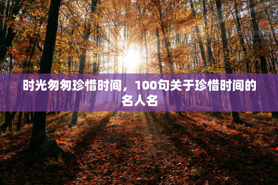 时光匆匆珍惜时间，100句关于珍惜时间的名人名