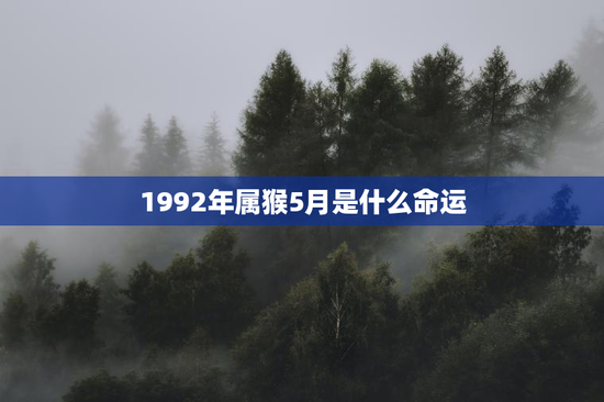 1992年属猴5月是什么命运，1992年属猴5月是什么命运呢