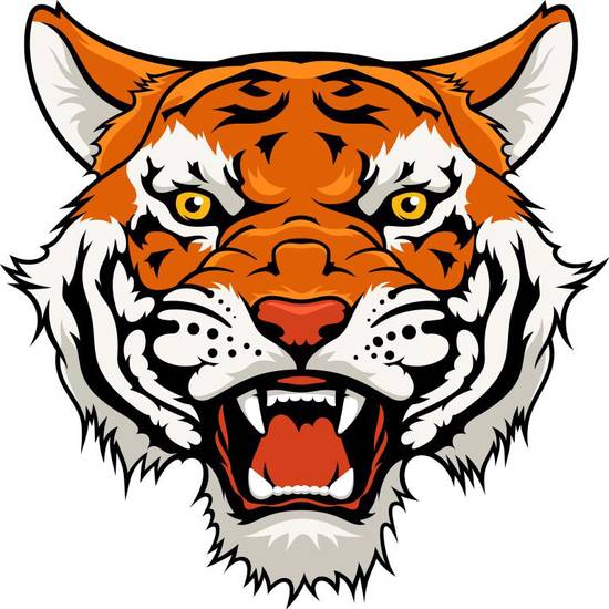 属虎男和属马女婚配好吗(星座配对分析)