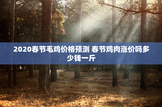 2020春节毛鸡价格预测 春节鸡肉涨价吗多少钱一斤