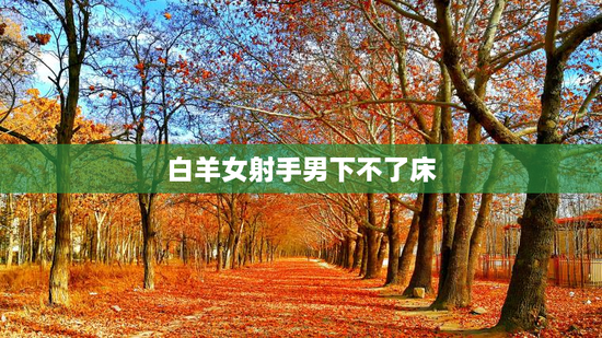 白羊女射手男下不了床