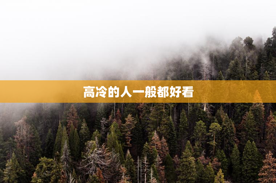 高冷的人一般都好看