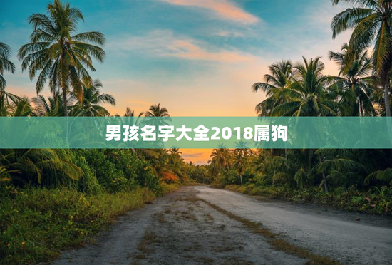 男孩名字大全2018属狗