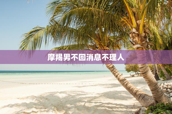 摩羯男不回消息不理人