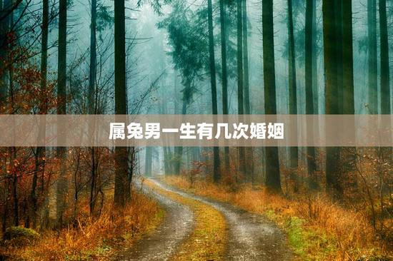 属兔男一生有几次婚姻，1987年属兔男一生有几次婚姻