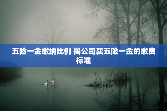 五险一金缴纳比例 揭公司买五险一金的缴费标准