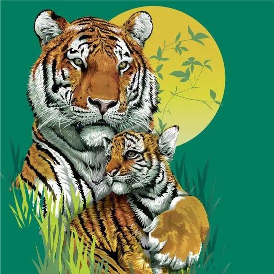 12生肖相生相克表属虎(了解属虎人的相生相克之道)