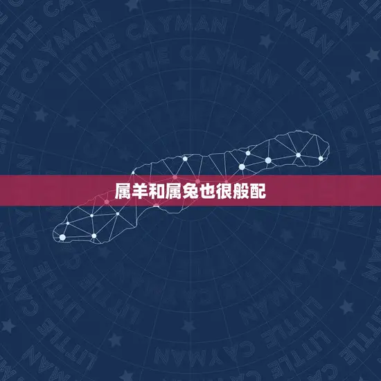 属羊和属兔也很般配