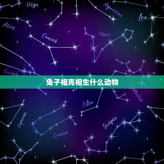 兔子相克相生什么动物