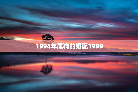 1994年属狗的婚配1999，1994年属狗的婚配1993