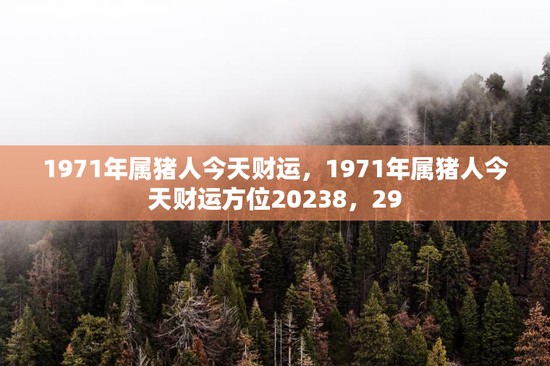 1971年属猪人今天财运，1971年属猪人今天财运方位20238，29