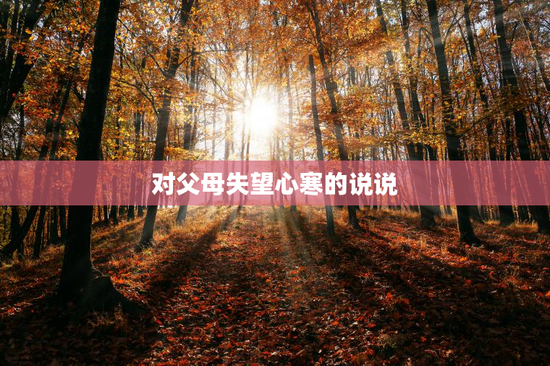 对父母失望心寒的说说