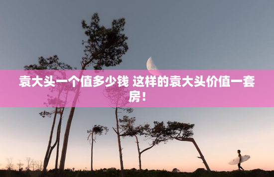 袁大头一个值多少钱 这样的袁大头价值一套房！