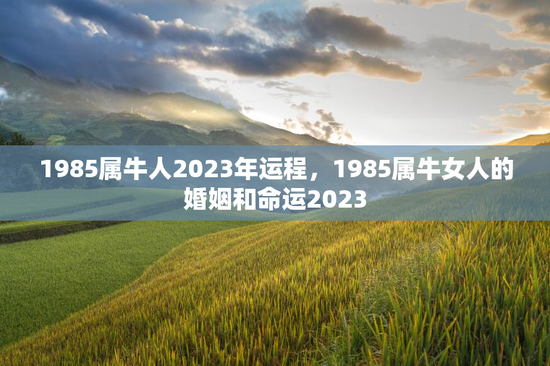 1985属牛人2023年运程，1985属牛女人的婚姻和命运2023