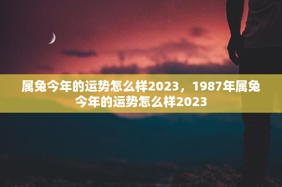 属兔今年的运势怎么样2023，1987年属兔今年的运势怎么样2023