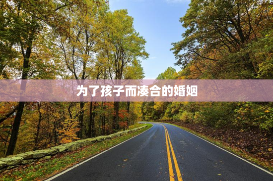 为了孩子而凑合的婚姻