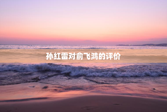 孙红雷对俞飞鸿的评价