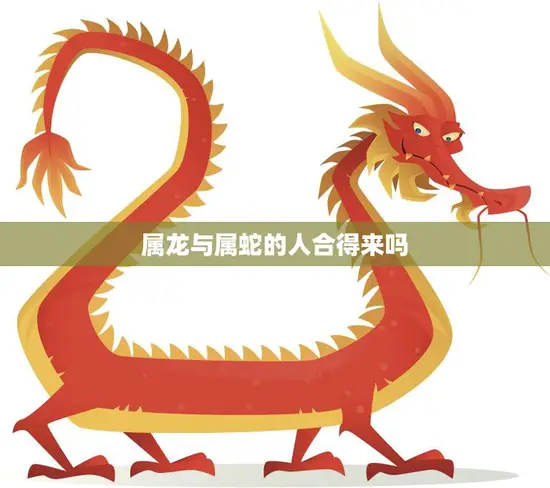 属龙与属蛇的人合得来吗(探究星座是否影响人际关系)