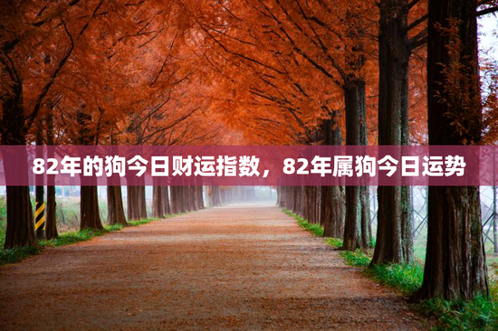 82年的狗今日财运指数，82年属狗今日运势